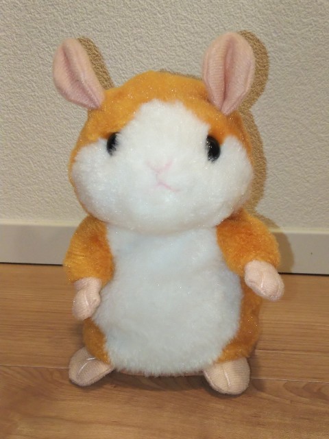f:id:nanmom:20200108095643j:image ミミクリーペット