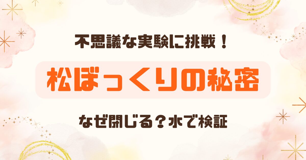 実験│松ぼっくりを水につけるとなぜ閉じる？実際に検証！のアイキャッチ