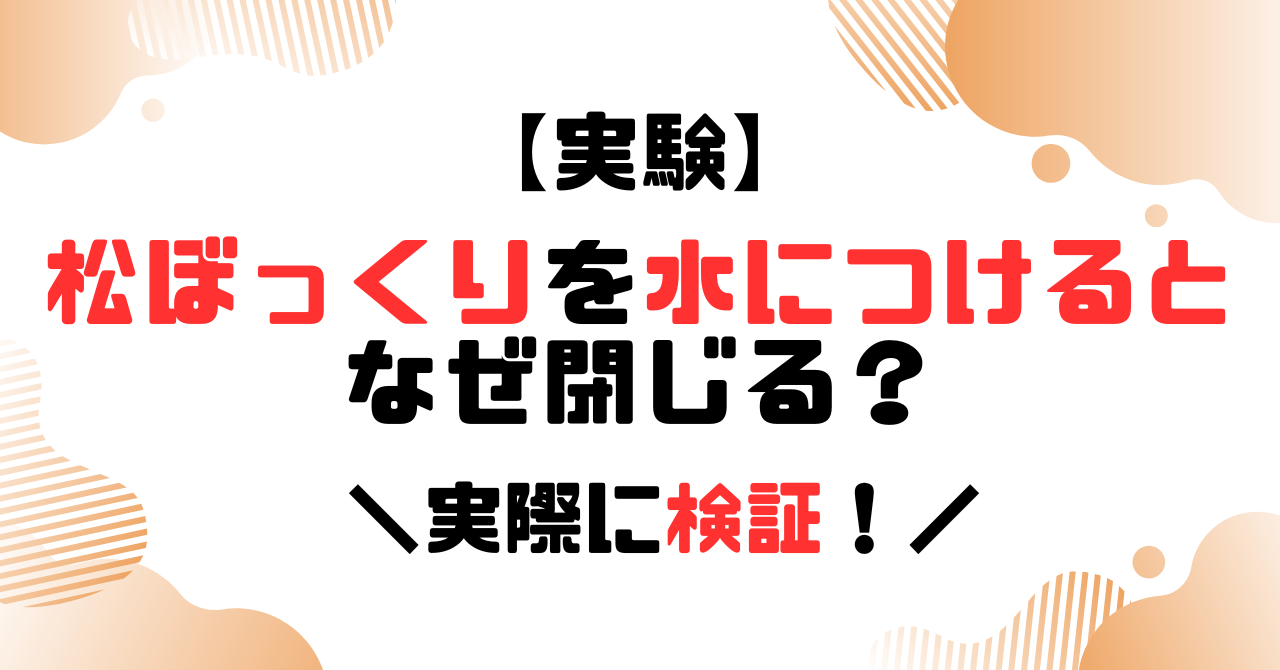 実験│松ぼっくりを水につけるとなぜ閉じる？実際に検証！のアイキャッチ