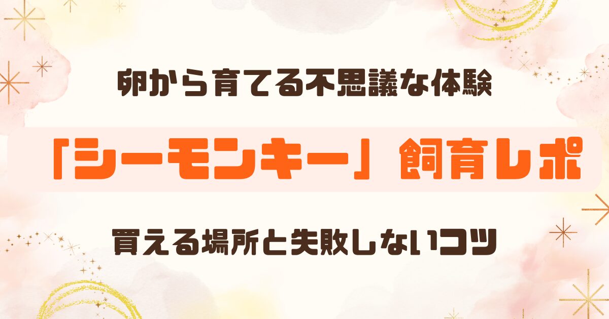 【小学生自由研究】「シーモンキー」飼育セットレビュー！どこに売ってる？