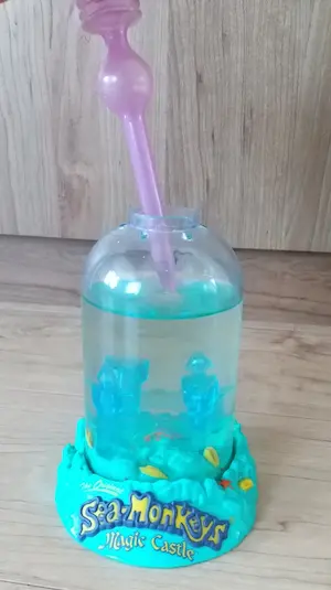 エアポンプで空気を入れ、孵化を待つ