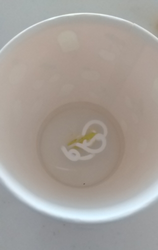 ぬるま湯とホウ砂
