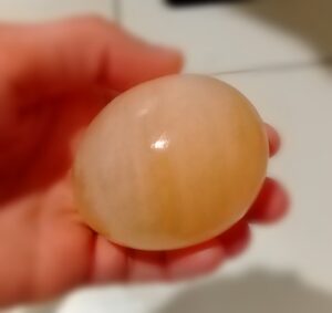 酢に入れた卵