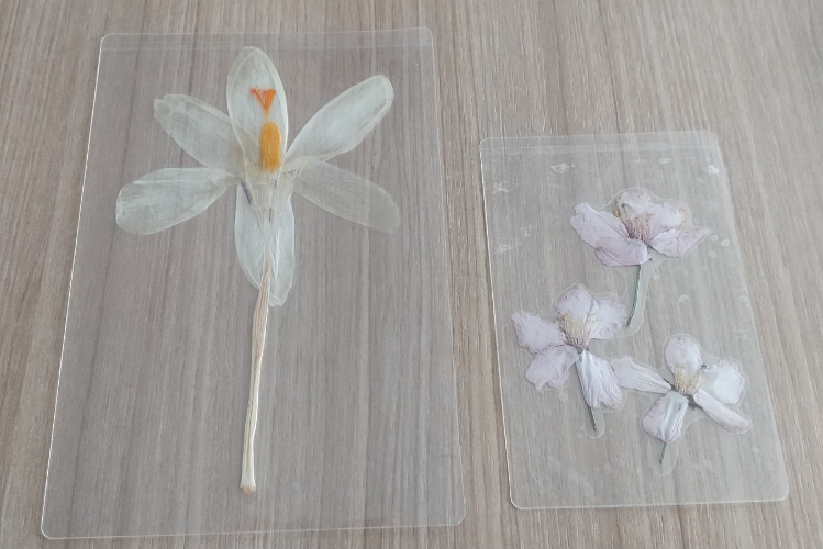 2個 押し花完成