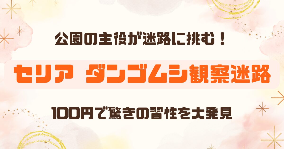 【100均】セリアの「ダンゴムシ観察迷路」が面白い！小学生の自由研究にオススメ