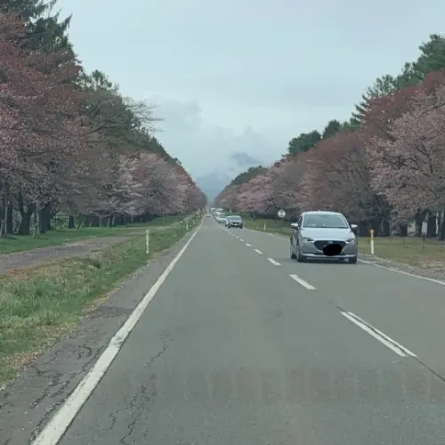 車を消しゴムマジックで消す