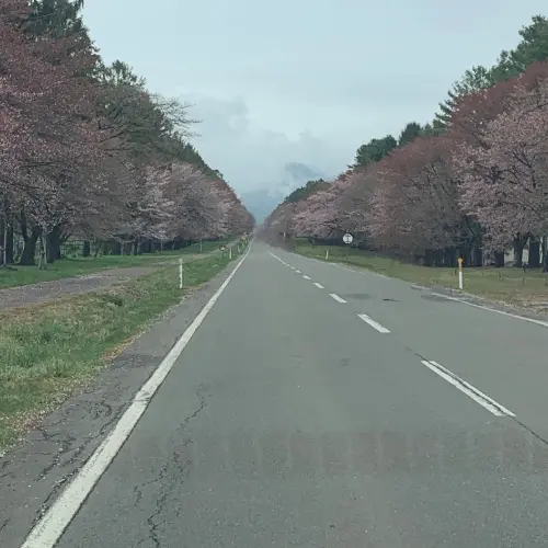 車を消しゴムマジックで消した後
