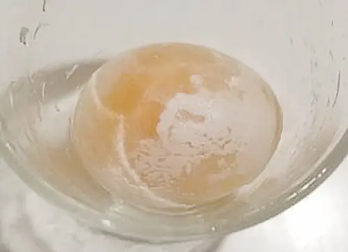 酢に入れた卵