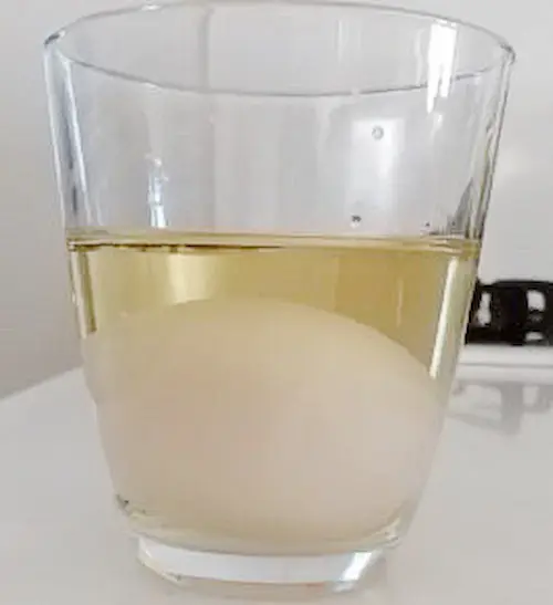 酢に入れた卵