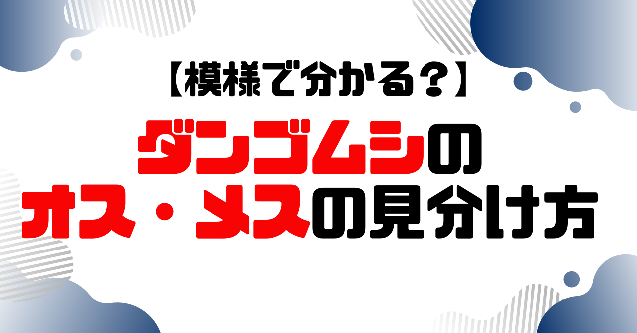 ダンゴムシのオス・メスの見分け方のアイキャッチ