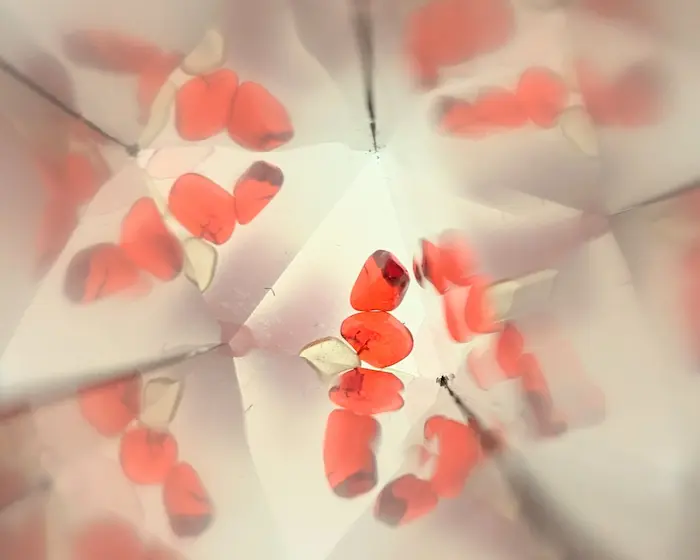 万華鏡の見え方はどう？正直レビュー